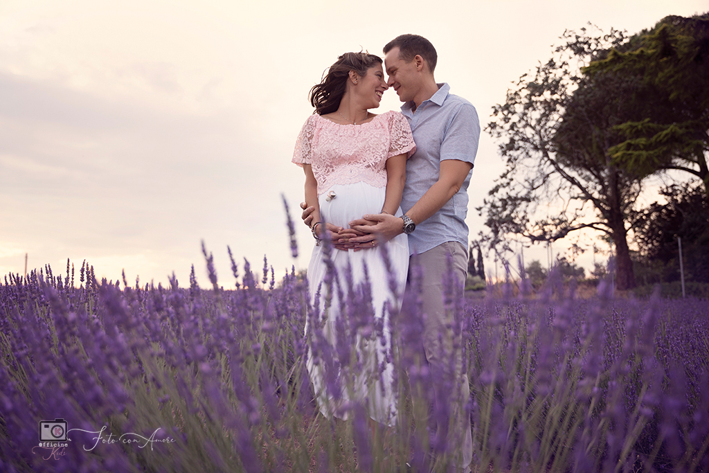 servizi fotografici lavanda incinta