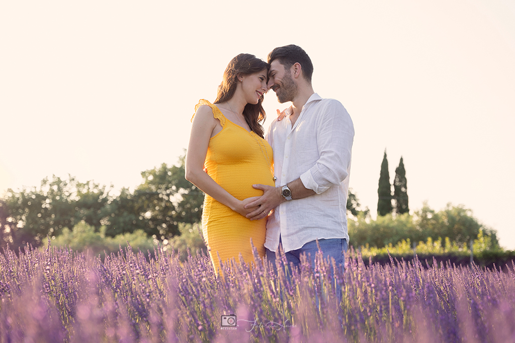 servizi fotografici lavanda gravidanza