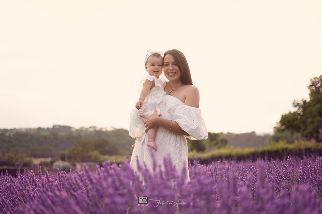 servizi campi lavanda